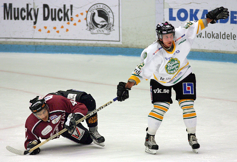 Teg-Bjrklven